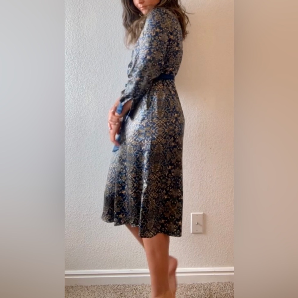 Gorgeous Peacock Inspired Silk Dress